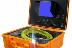 телеинспекция